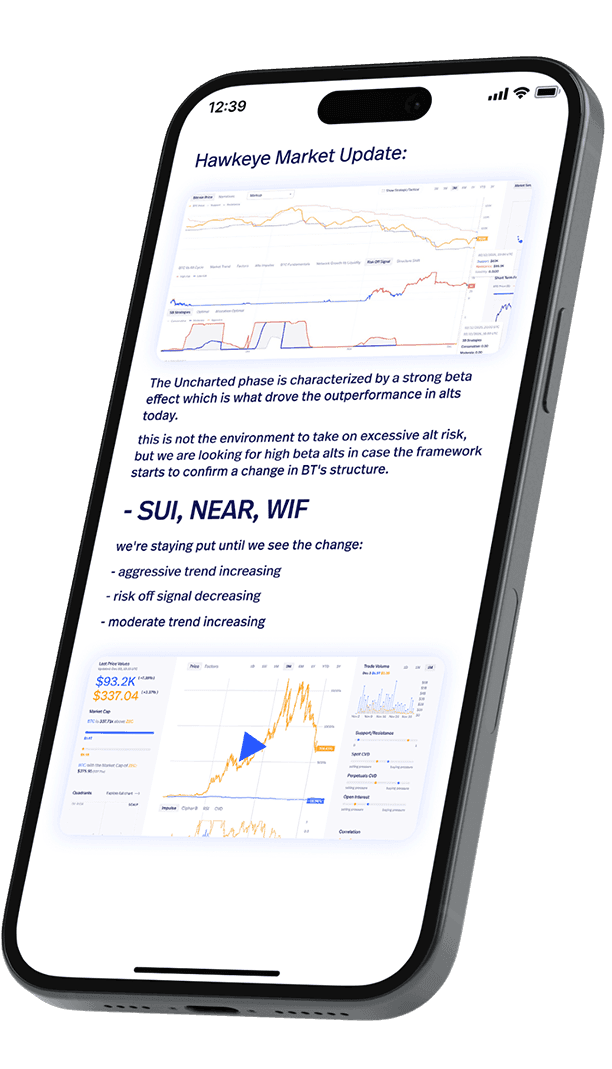 iPhone screen example